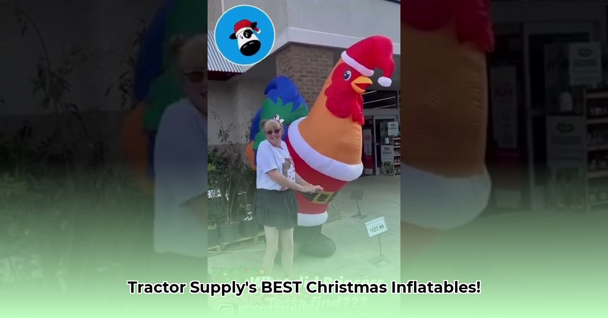 tractor-supply-christmas-inflatables